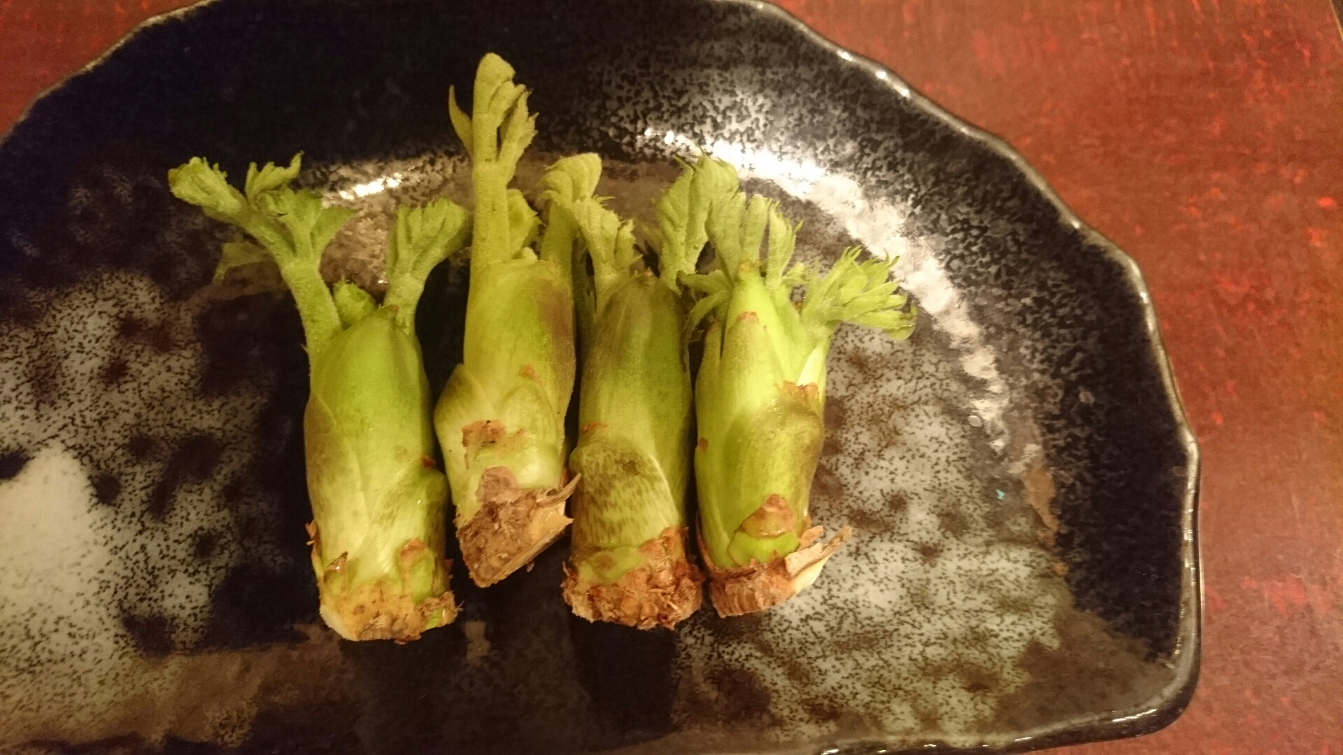 タラの芽 東京 明大前 四季の串揚げ かくれん坊 よりお知らせ